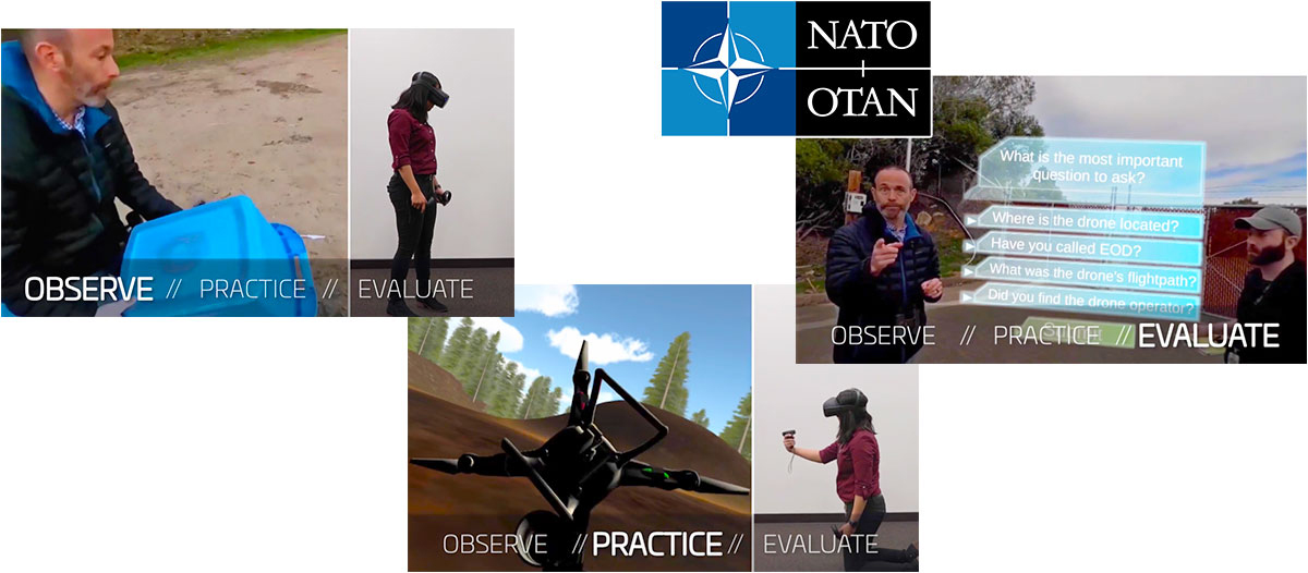 Case Study NATO graphic